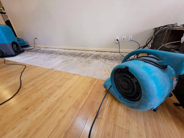 Professional Structural Drying technician working in Stoneham, MA